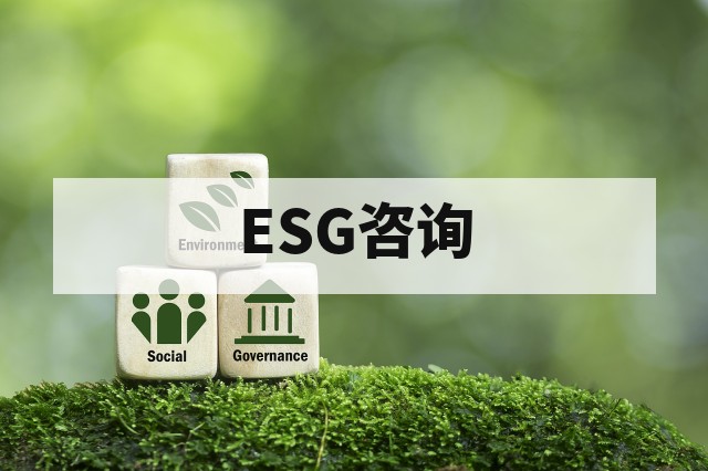 ESG项目实施步骤全解析：从启动到持续改进的标准化路径